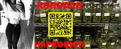 прущие грибы Бугуруслан