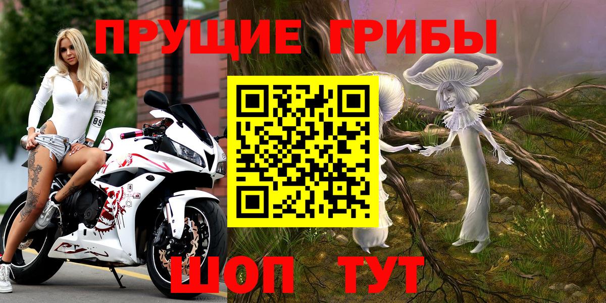 купить наркотики сайты  Псилоцибиновые грибы Psilocybine cubensis  Вход с VPN  Новоуральск 